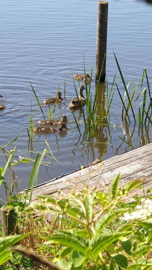 Buiten Huisje aan de Vaart 1 Matsloot Buitenkant foto